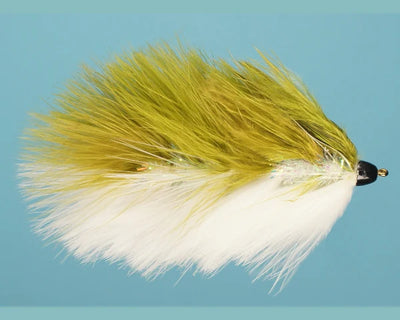 #4 Barely Legal - Fish Skull