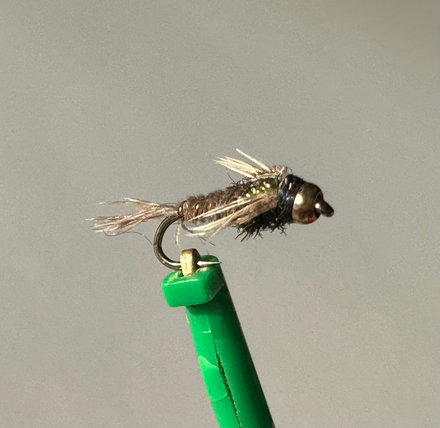 Pheasant Tail - Nymph - Indicator