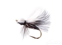 Ant CDC Black