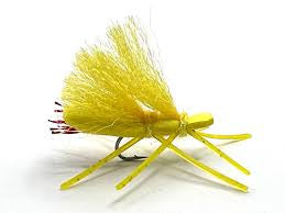 Cubby yellow sally- DC