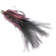 Balanced Swim Leech Ump