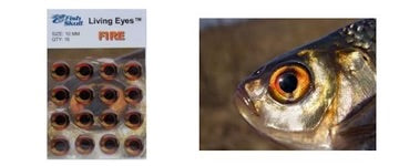 FISH SKULL LIVING EYES