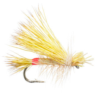 DC-Little yellow stone female
