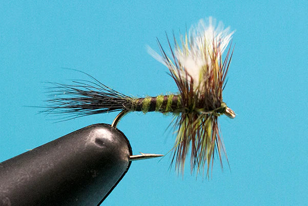 Green drake colorado henwing - DC