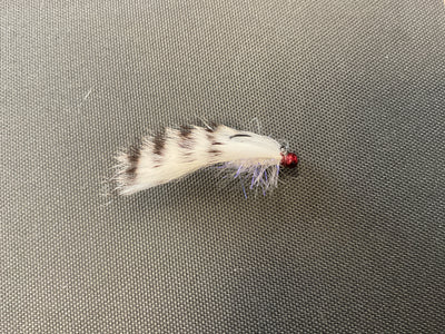 MIKEYS BALANCED BAITFISH HFS