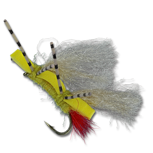 DC Chubby Sally Yellow