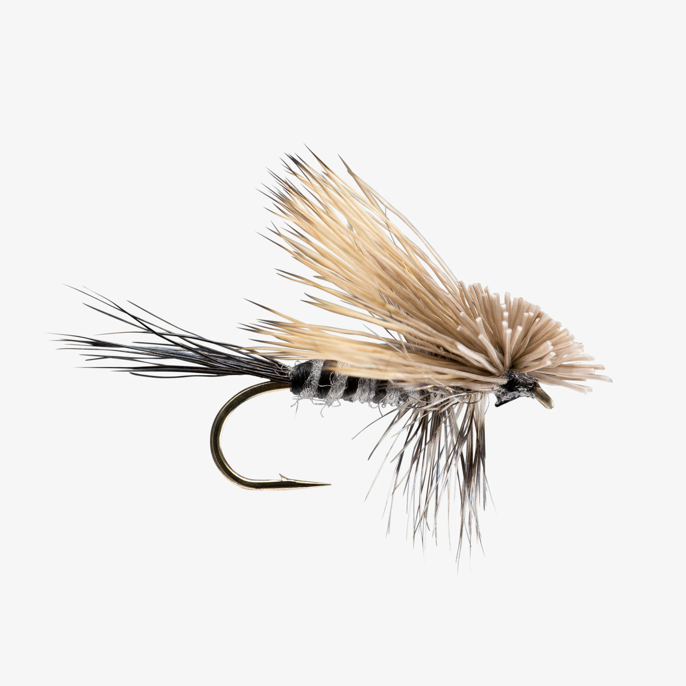 HAIRWING DRAKE-DC