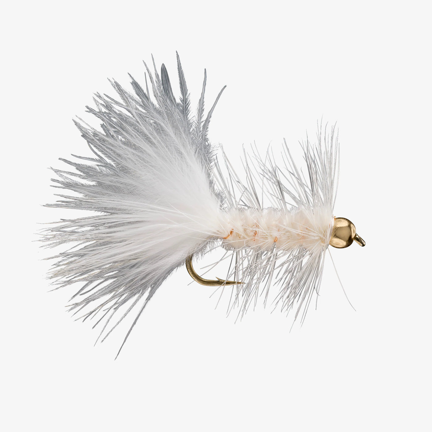 BH Woolly Bugger