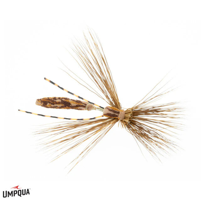 Cranefly Adult
