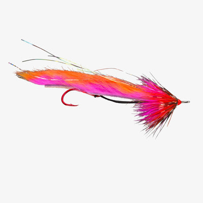 RIO's String Leech