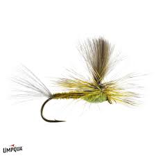 PARA GREEN DRAKE CDC -DC