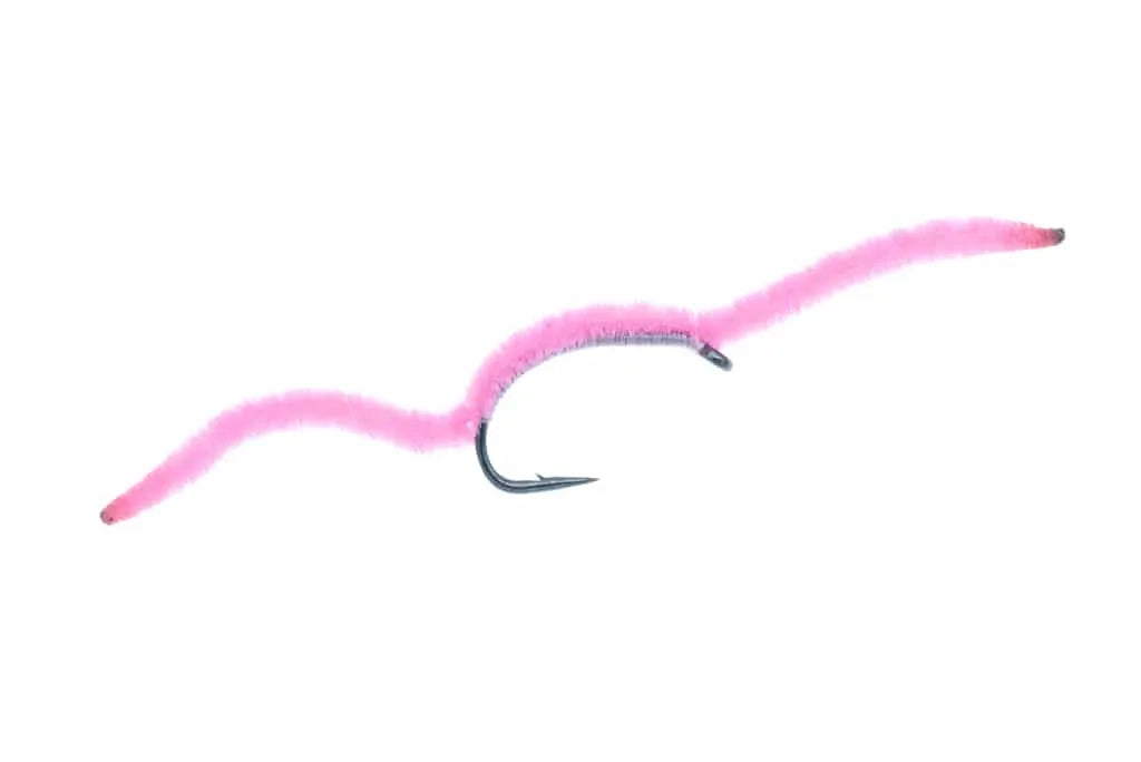 Chenille Worms - DC