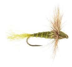 Sparkle dun green drake