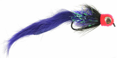 Starlight Leech - DF