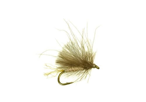 Corn Feed Caddis - Dry Fly