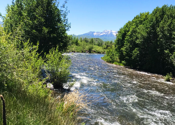 Provo River Guide - Full Day