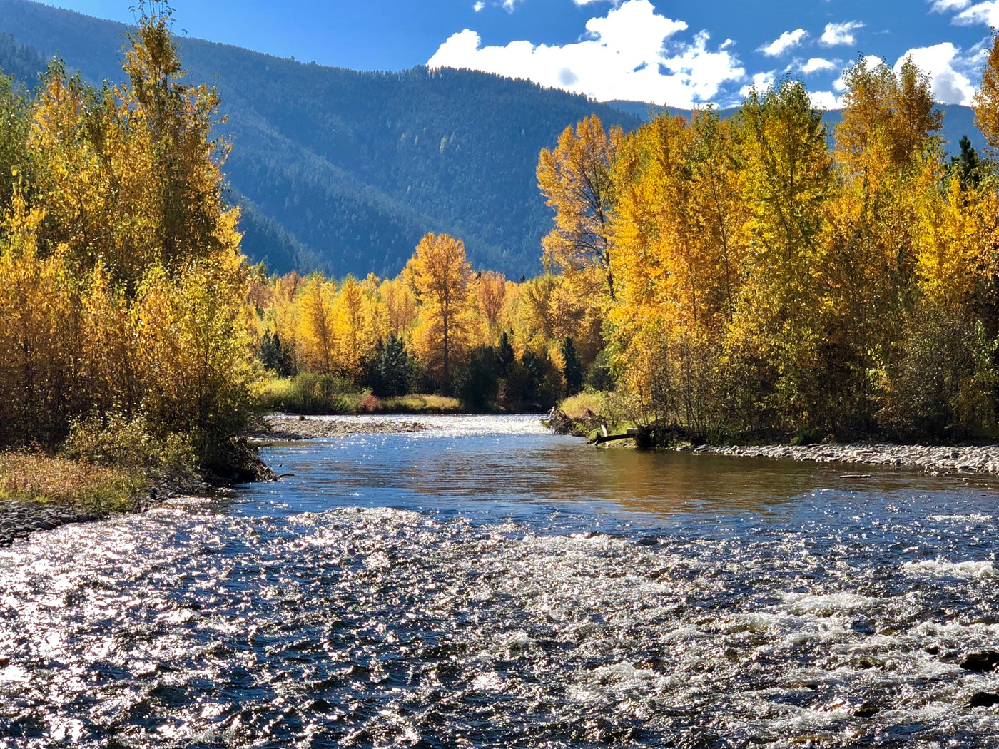 Weber River Guide - Half Day